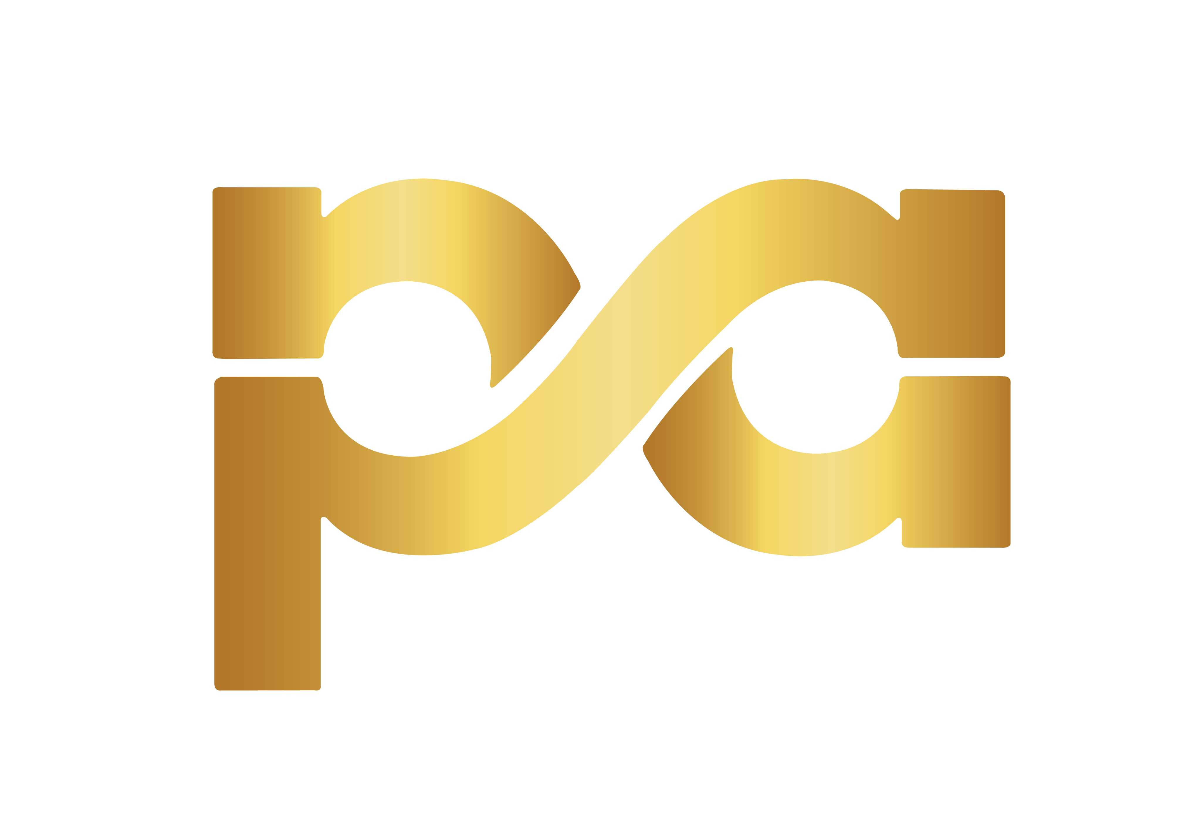 PA Logo assignment-06